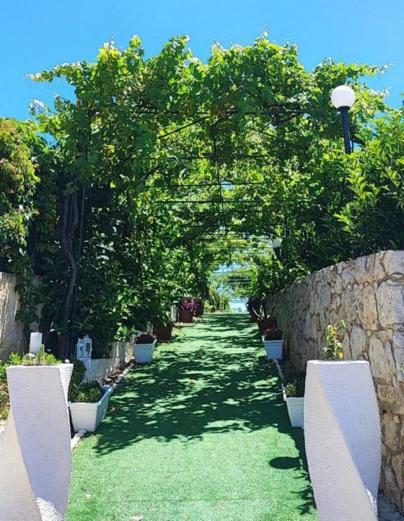 B&B Villa Antonella Πιάτσα Αρμερίνα Εξωτερικό φωτογραφία