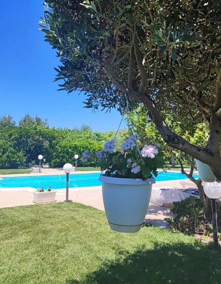 B&B Villa Antonella Πιάτσα Αρμερίνα Εξωτερικό φωτογραφία