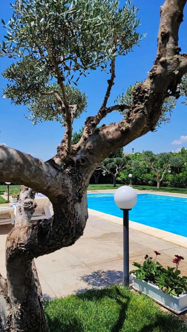 B&B Villa Antonella Πιάτσα Αρμερίνα Εξωτερικό φωτογραφία